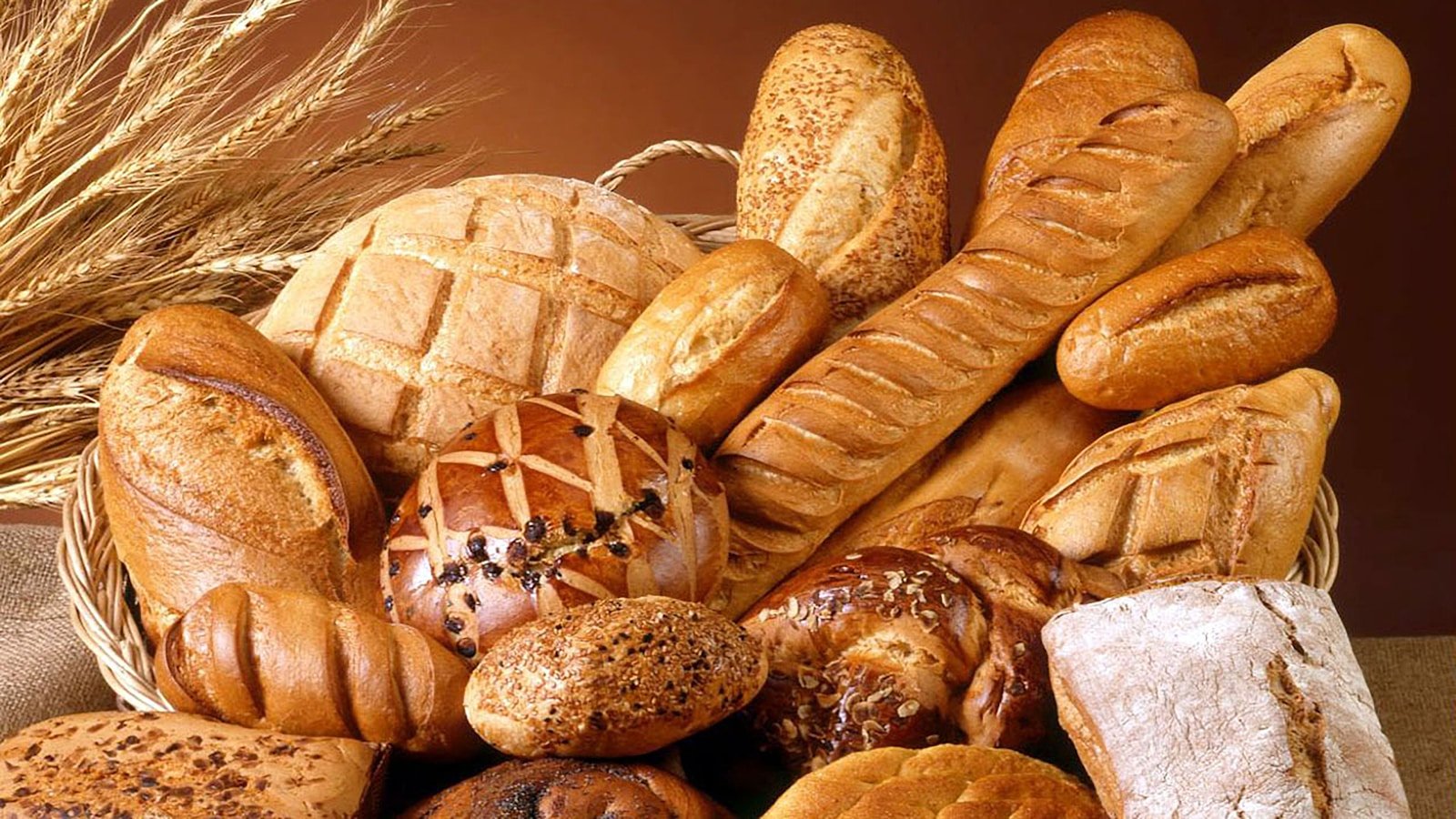 bread guide