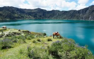 Best Time to Visit Ecuador