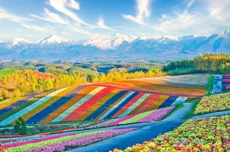 Hokkaido, Japan