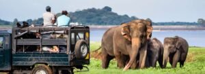Sri Lanka National Parks